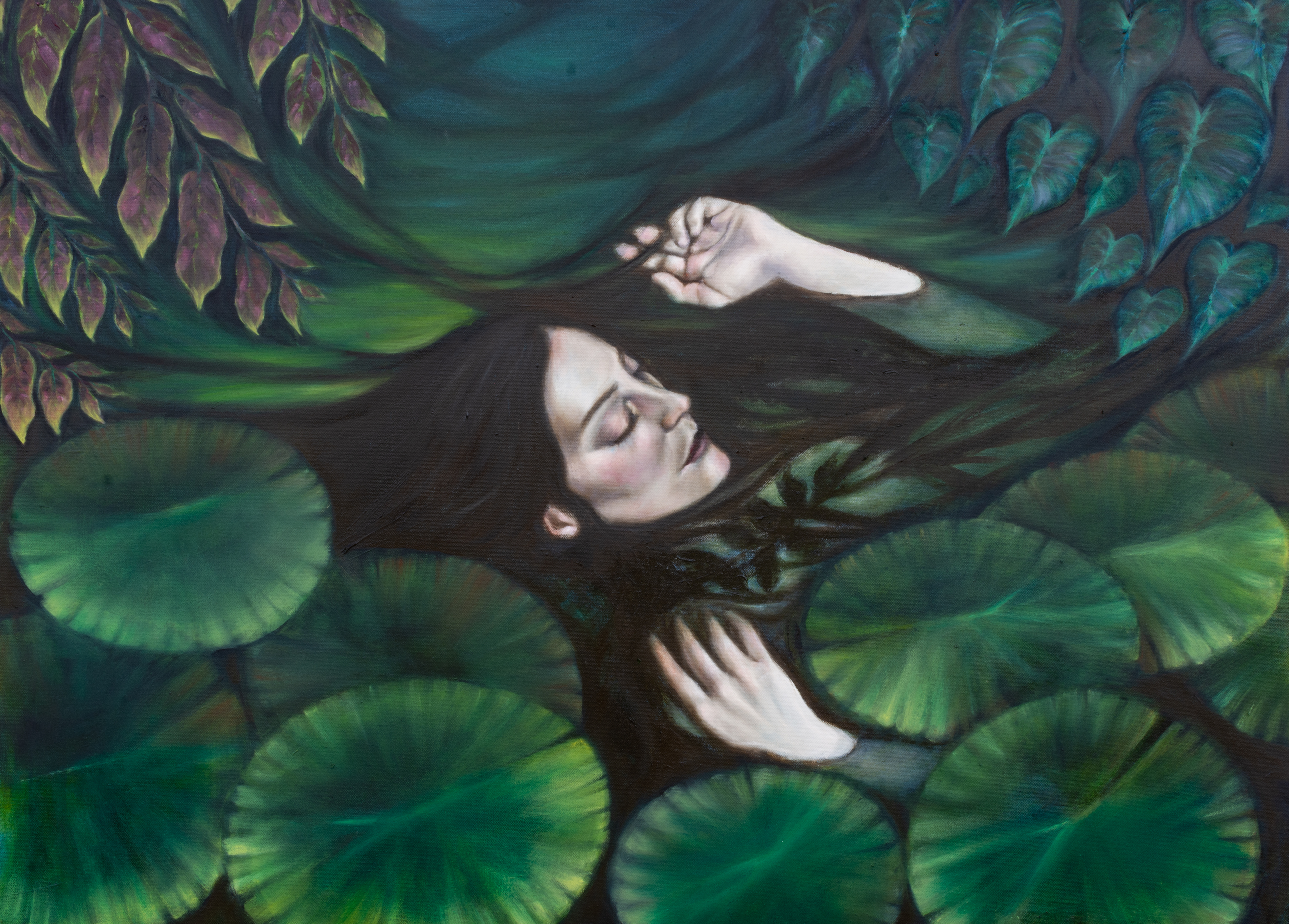 Daintree Ophelia #1