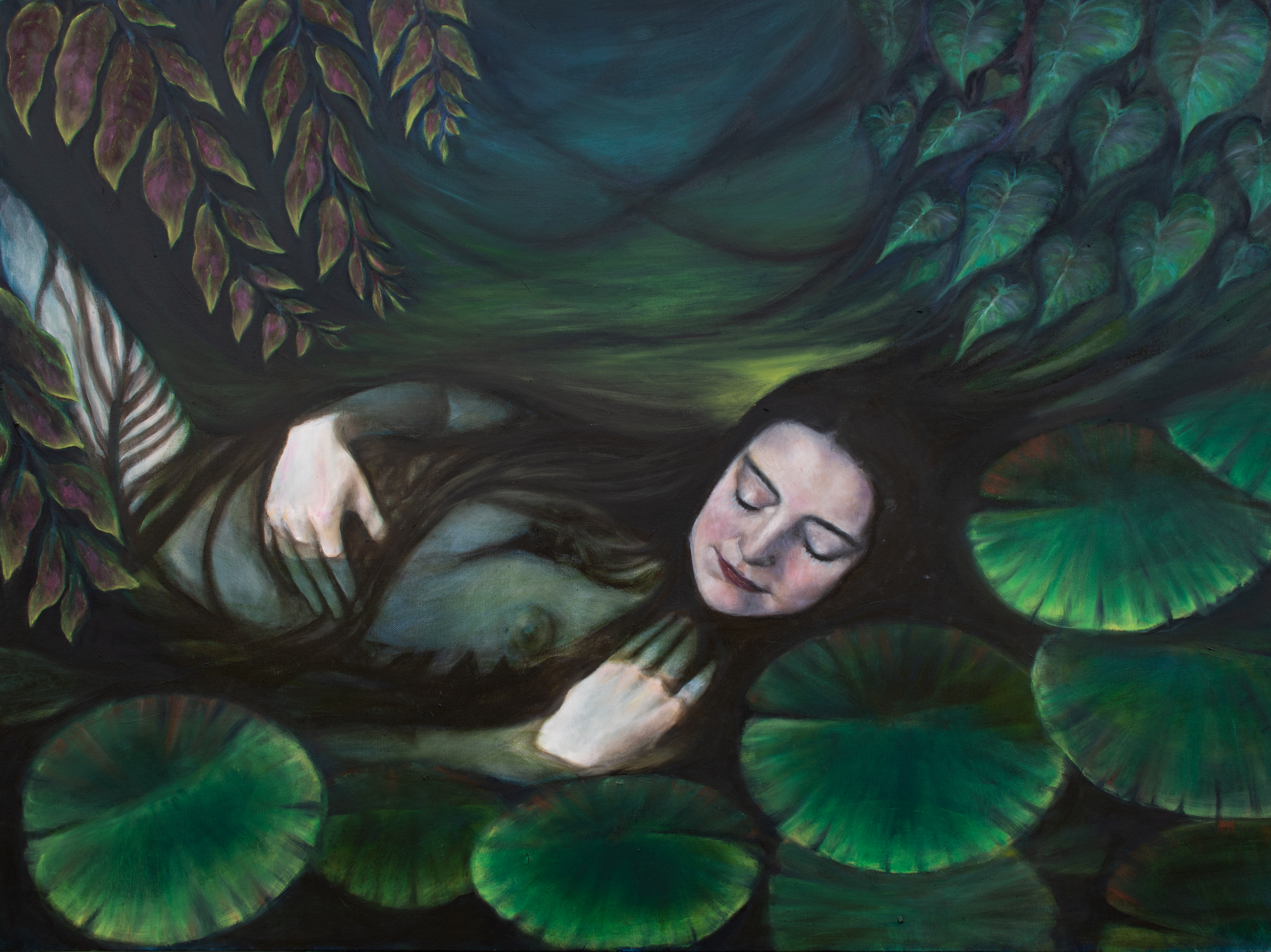 Daintree Ophelia #2