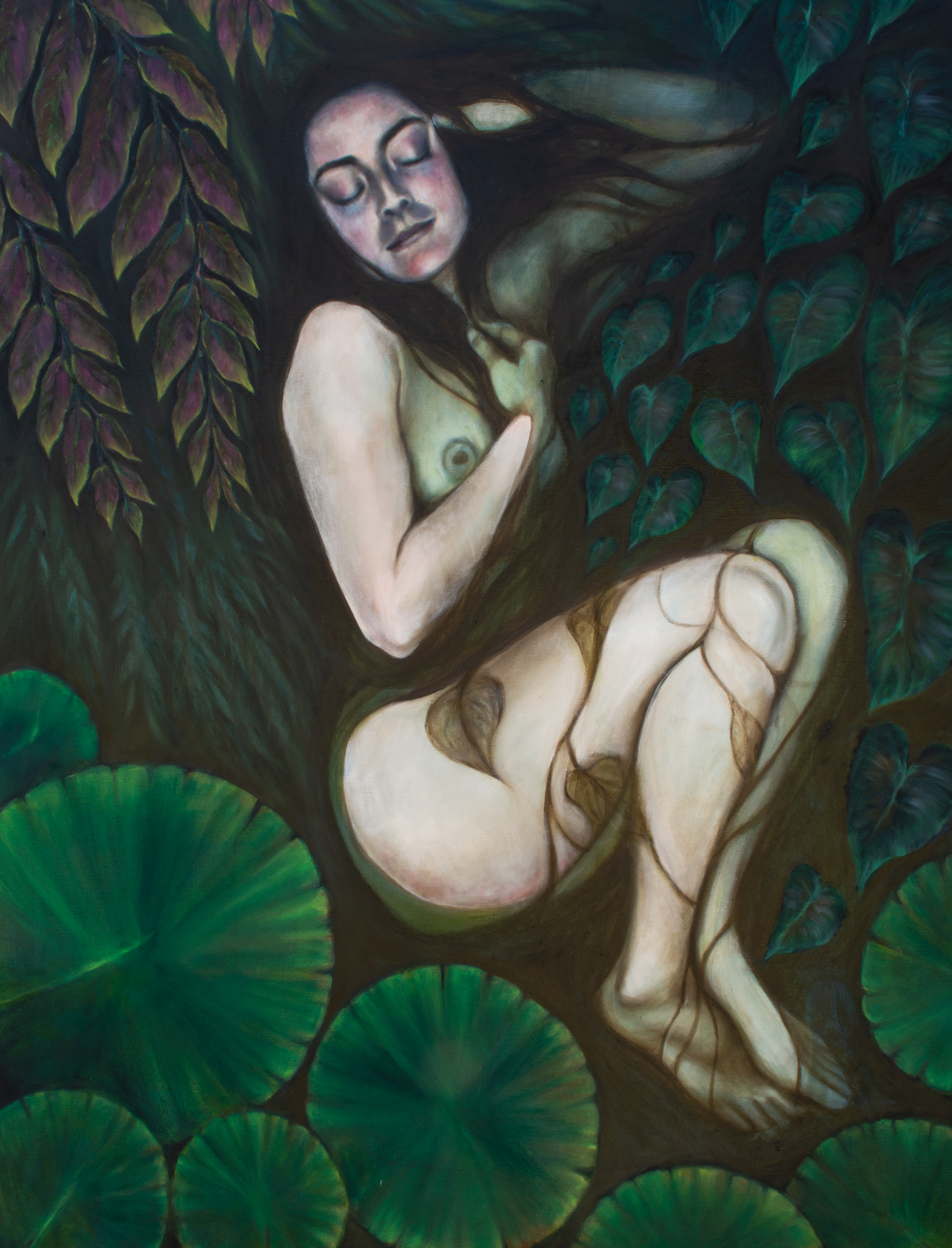 Daintree Ophelia #3