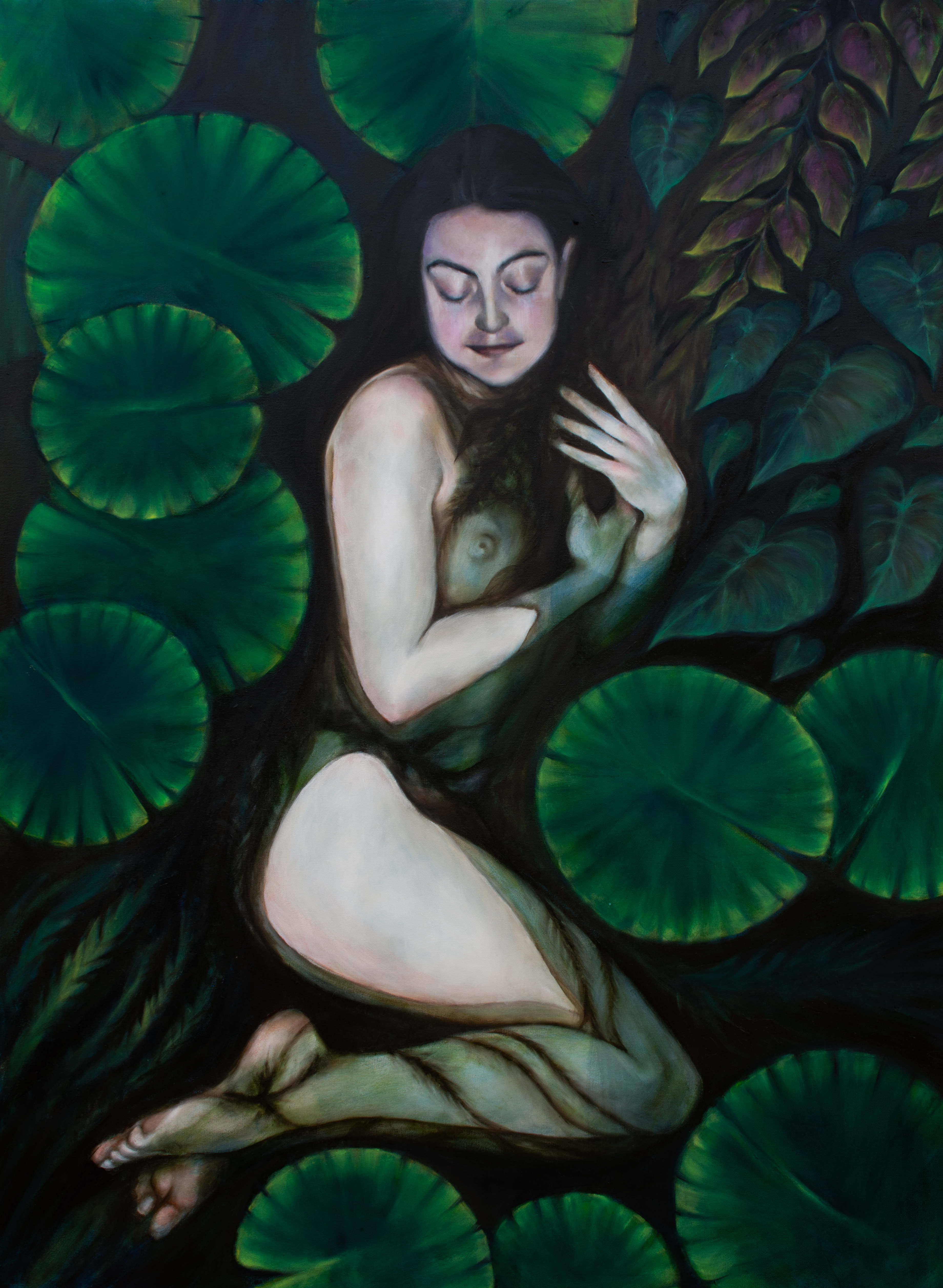 Daintree Ophelia #4